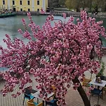 Hajna Lägenhet Tapolca